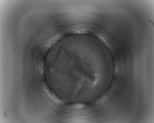 X0000103310402200809051549