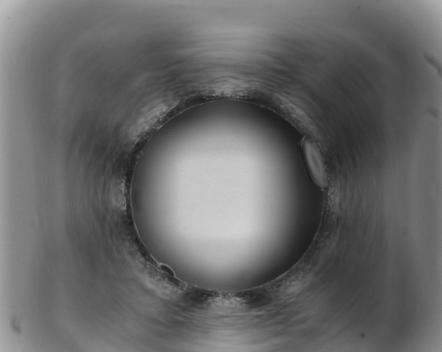 X0000103310403200809051549