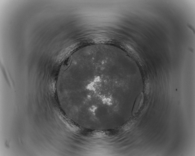 X0000103310405200809051549