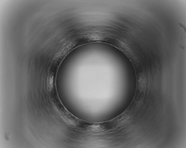 X0000103310406200809051549