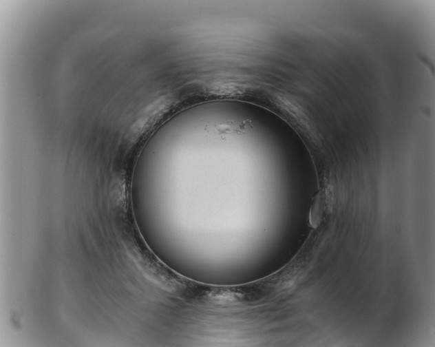 X0000103310407200809051549