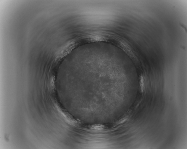 X0000103310410200809051549