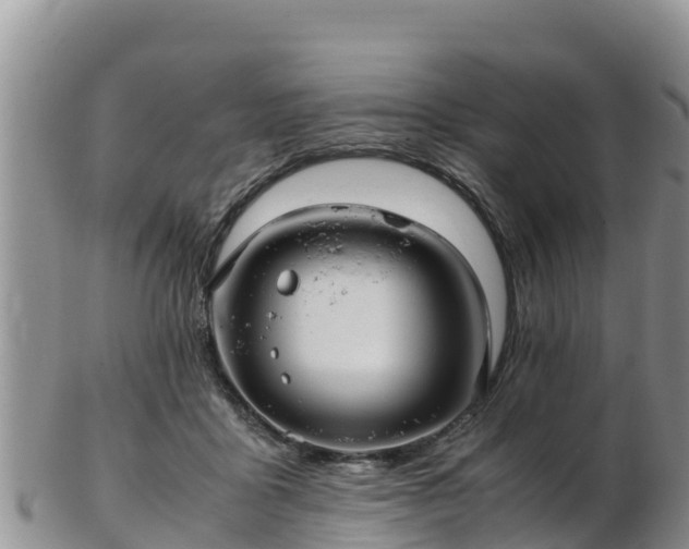 X0000103310411200809051549