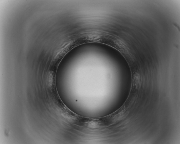 X0000103310412200809051549