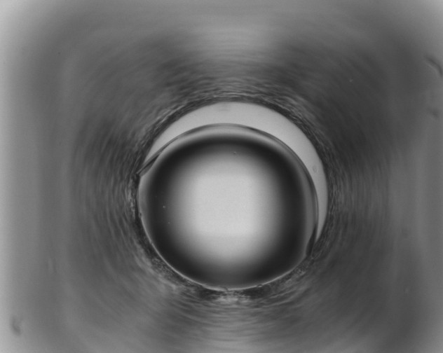 X0000103310415200809051549