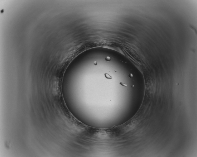 X0000103310416200809051549