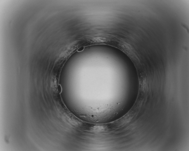 X0000103310418200809051549