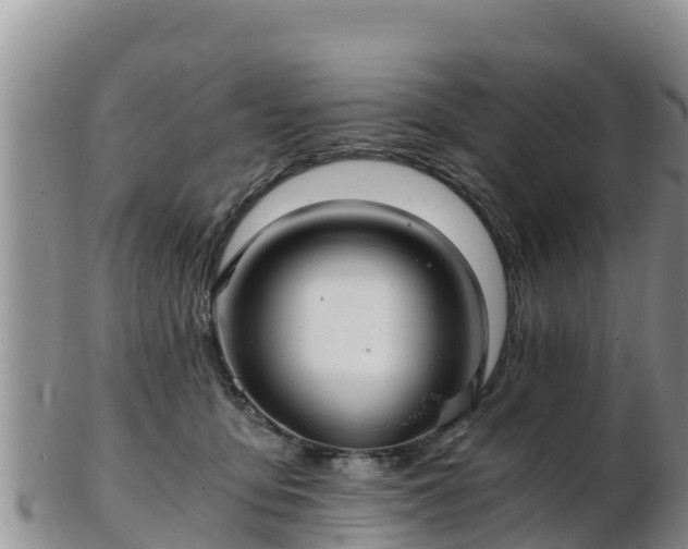 X0000103310419200809051549