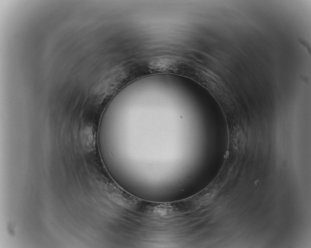 X0000103310420200809051549