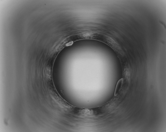 X0000103310421200809051549
