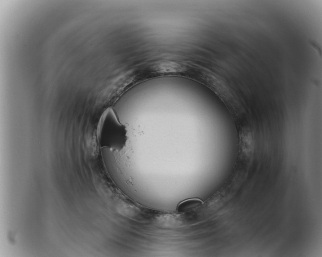 X0000103310422200809051549