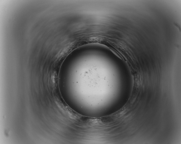 X0000103310424200809051549