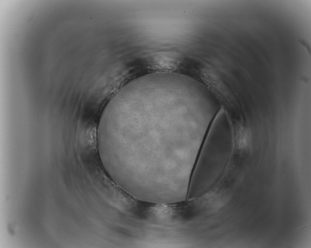 X0000103310425200809051549