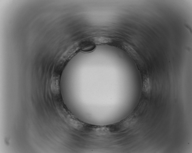 X0000103310426200809051549