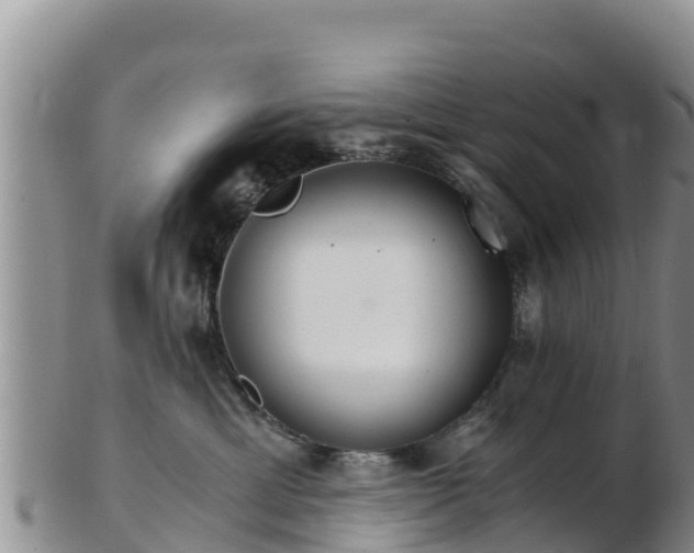 X0000103310429200809051549
