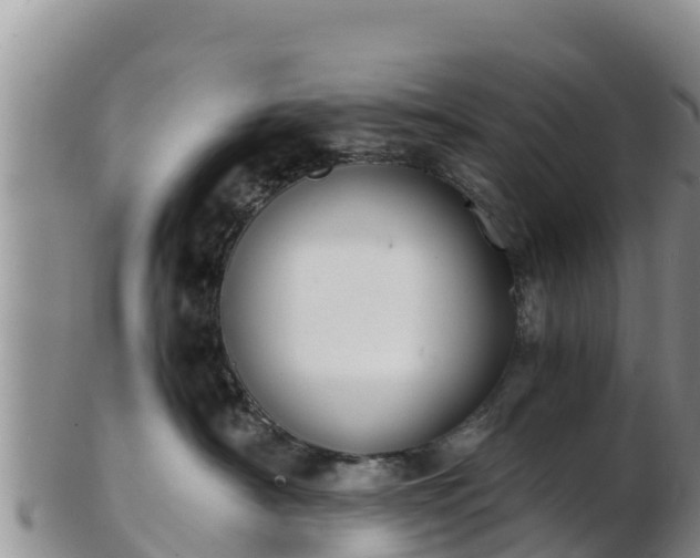 X0000103310430200809051549