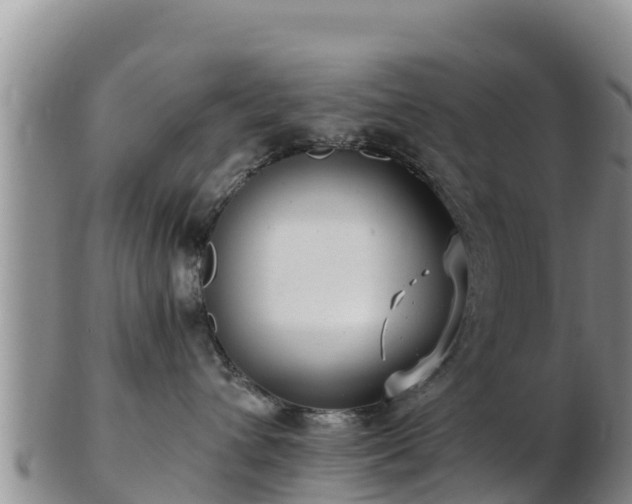 X0000103310432200809051549