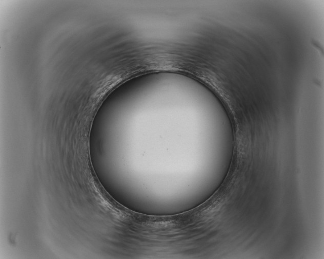 X0000103310433200809051548