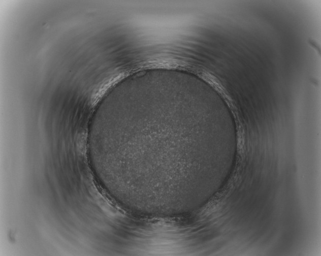 X0000103310434200809051548