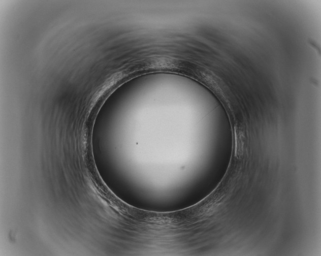 X0000103310435200809051548