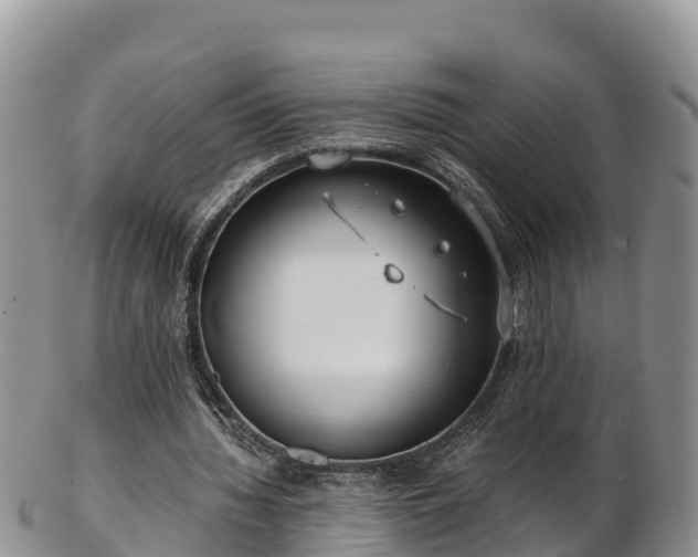 X0000103310436200809051548