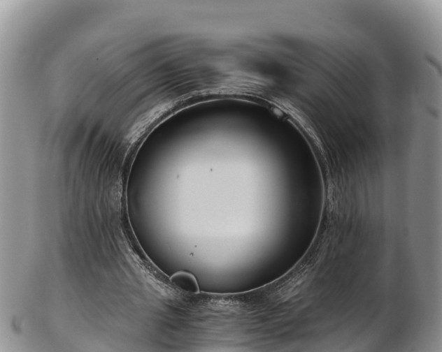 X0000103310437200809051548