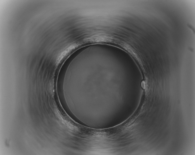 X0000103310438200809051548