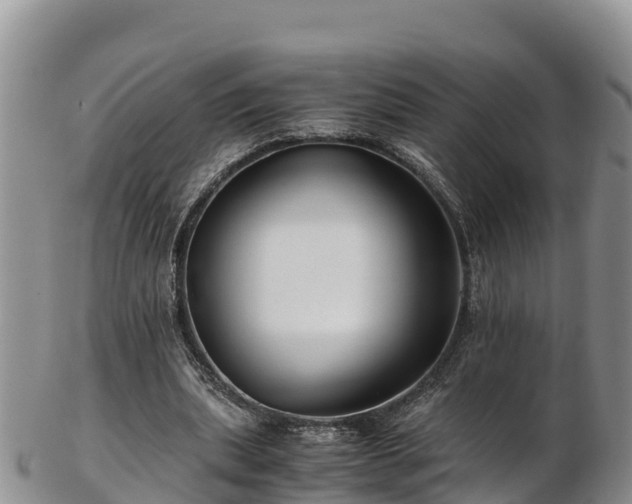 X0000103310439200809051548