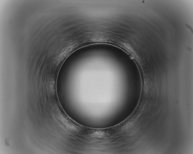 X0000103310441200809051548