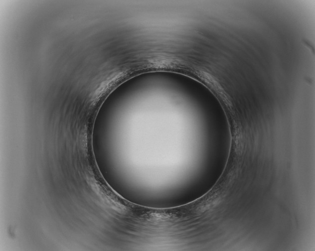 X0000103310442200809051548