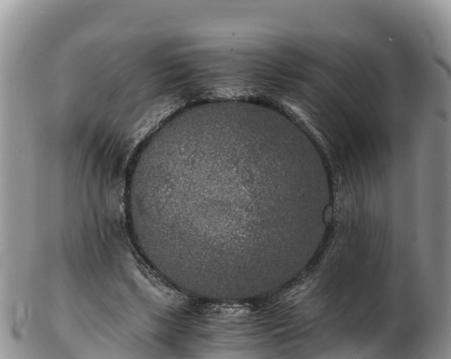 X0000103310443200809051548