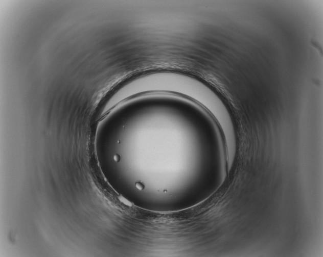 X0000103310444200809051548