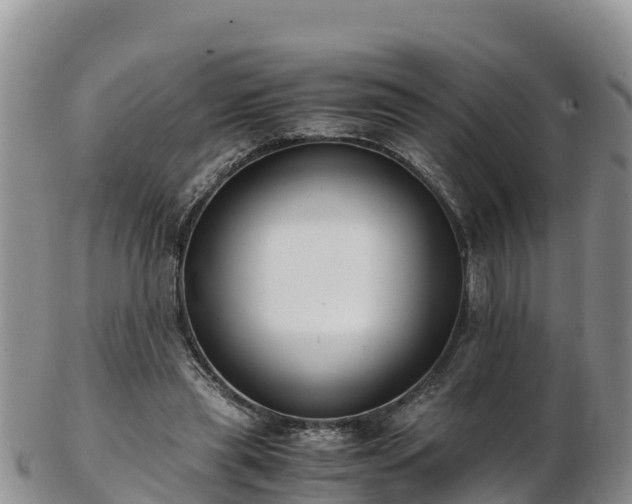 X0000103310445200809051548