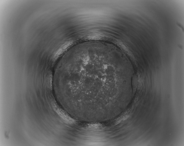 X0000103310446200809051548