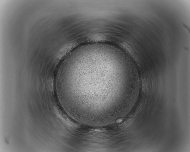 X0000103310447200809051548