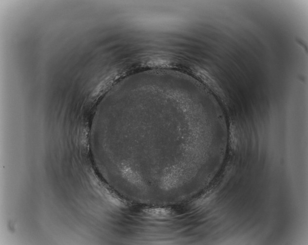 X0000103310449200809051548