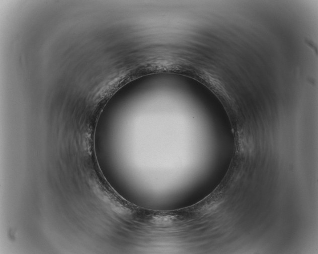 X0000103310450200809051548