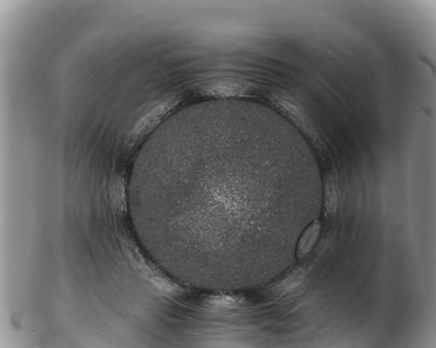 X0000103310453200809051548
