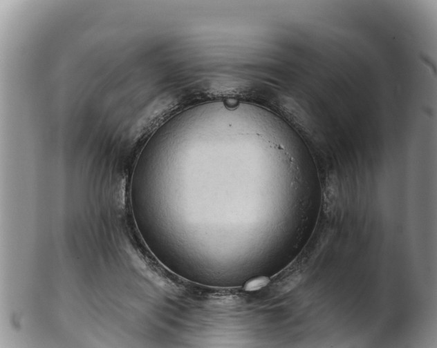 X0000103310454200809051548