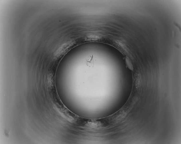 X0000103310455200809051548