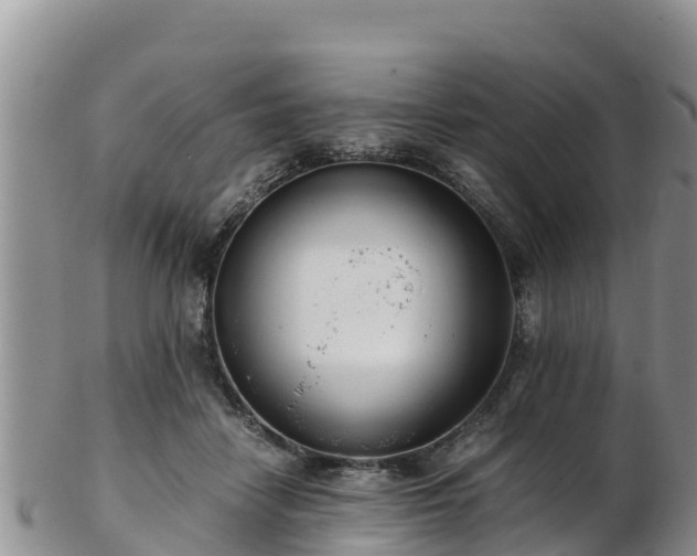 X0000103310458200809051548