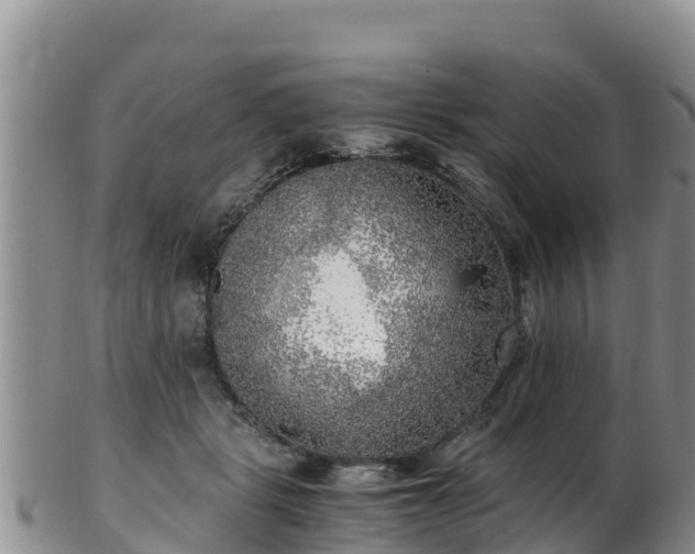 X0000103310461200809051549