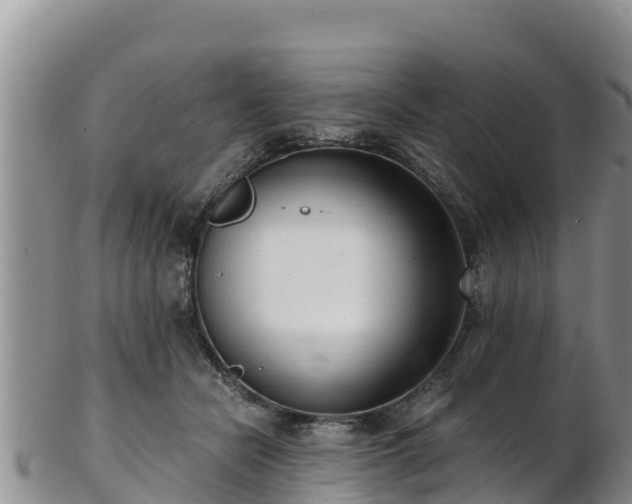 X0000103310462200809051549