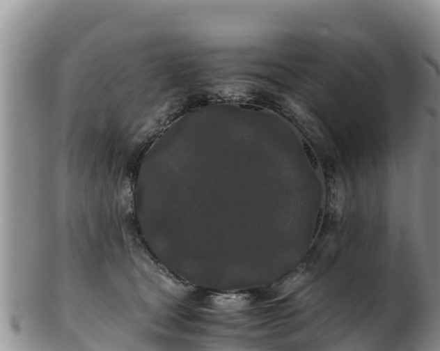 X0000103310465200809051549