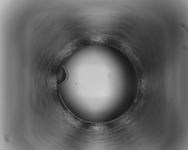 X0000103310466200809051549