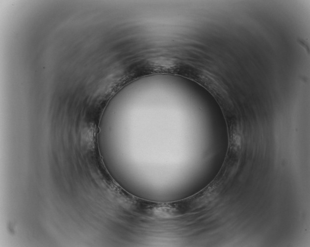 X0000103310468200809051549