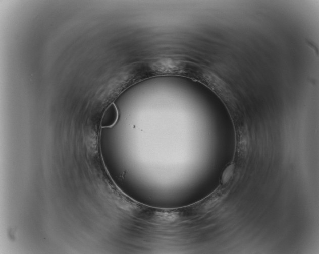 X0000103310469200809051549