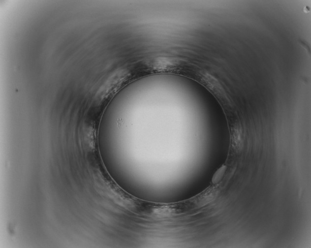 X0000103310470200809051549