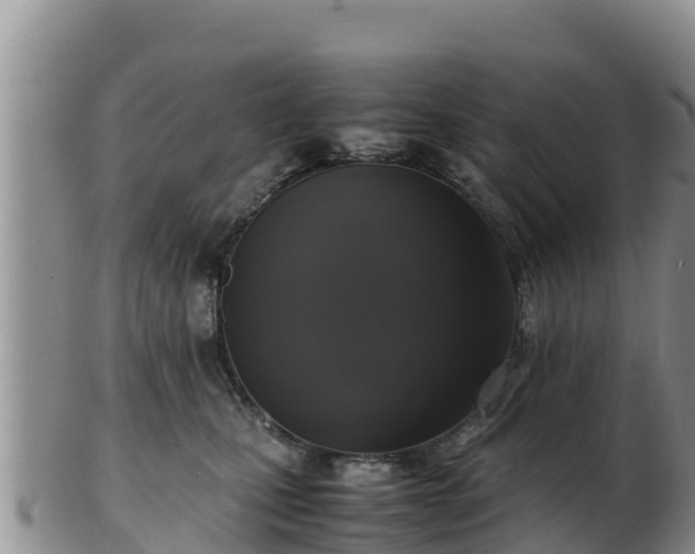 X0000103310471200809051549