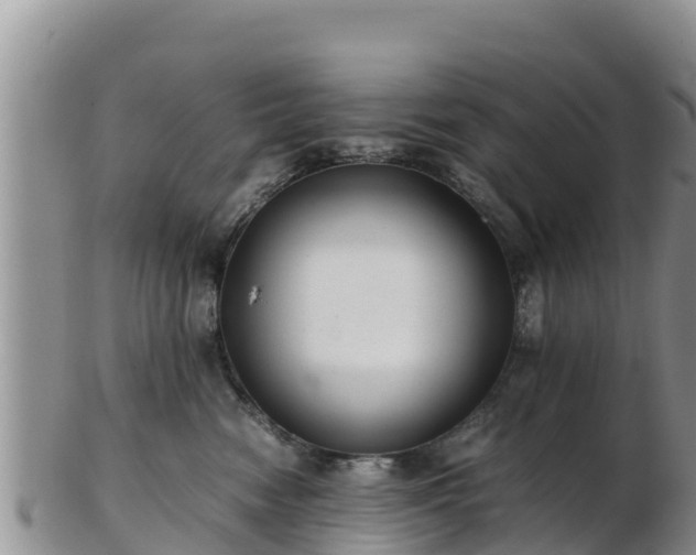 X0000103310474200809051549